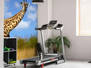 Discount Giraffe met grappige houding fotobehang Dieren