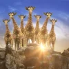 Outlet Giraffen bij zonsondergang fotobehang Dieren | 3d