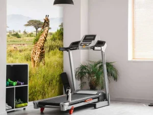 Sale Giraffen in Tanzania fotobehang Dieren