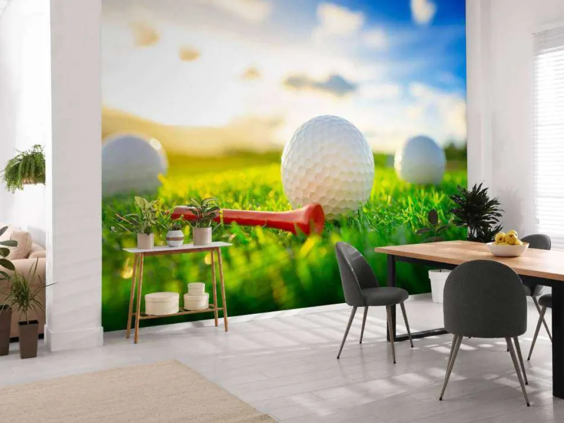 golfballen_met_houder_op__3.webp New Golfballen met houder op kunstgras fotobehang Kinderkamer | Sport