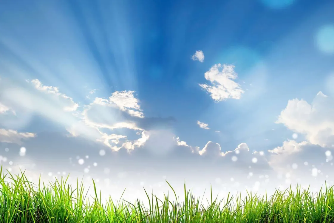 gras_onder_prachtige_wolk_0.webp Sale Gras onder prachtige wolken fotobehang Tienerkamer | Kinderkamer