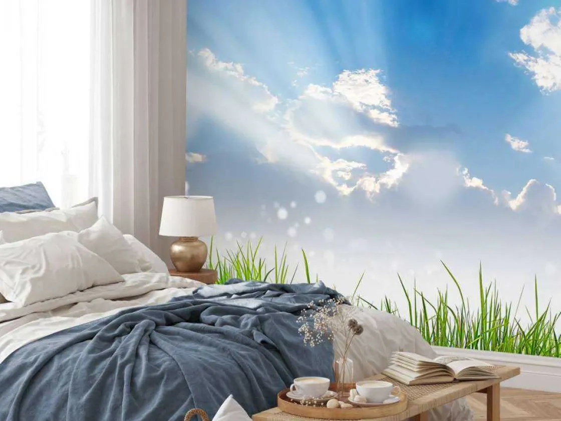 gras_onder_prachtige_wolk_1.webp Sale Gras onder prachtige wolken fotobehang Tienerkamer | Kinderkamer