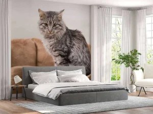 Best Grijze kat zit in een mand fotobehang Tienerkamer | Dieren