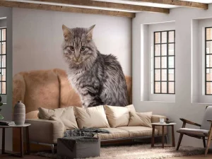 Best Grijze kat zit in een mand fotobehang Tienerkamer | Dieren
