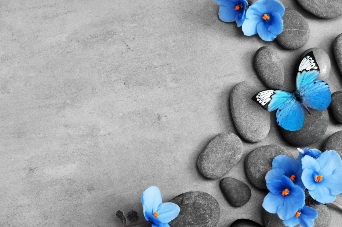 grijze_stenen_met_een_bla_0.webp Clearance Grijze stenen met een blauwe vlinder en bloemen fotobehang Oppervlakten | Bloemen