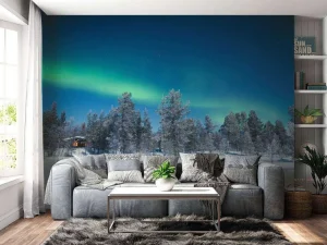 Discount Groen Noorderlicht in Noorwegen fotobehang Bloemen