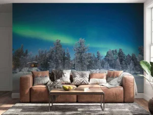 Discount Groen Noorderlicht in Noorwegen fotobehang Bloemen