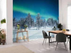 Discount Groen Noorderlicht in Noorwegen fotobehang Bloemen