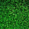 Discount Groene Bladeren Textuur fotobehang Bloemen