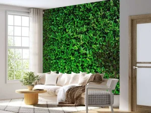 Discount Groene Bladeren Textuur fotobehang Bloemen