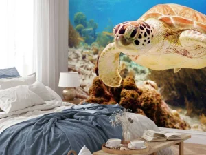 Discount Groene zeeschildpad aan het zwemmen fotobehang Dieren
