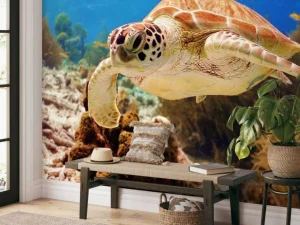 Discount Groene zeeschildpad aan het zwemmen fotobehang Dieren