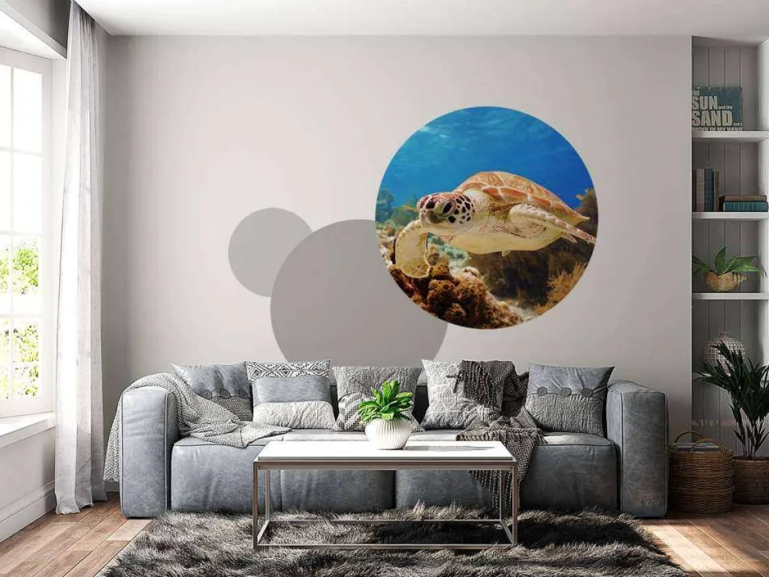 groene_zeeschildpad_aan_h_6.webp Discount Groene zeeschildpad aan het zwemmen fotobehang Dieren