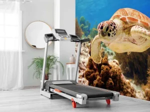 Discount Groene zeeschildpad aan het zwemmen fotobehang Dieren