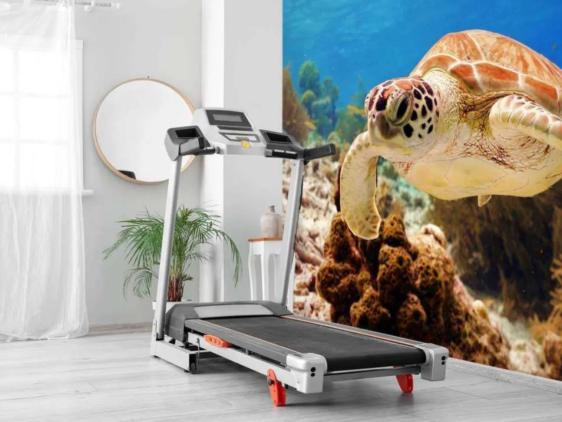 groene_zeeschildpad_aan_h_7.webp Discount Groene zeeschildpad aan het zwemmen fotobehang Dieren
