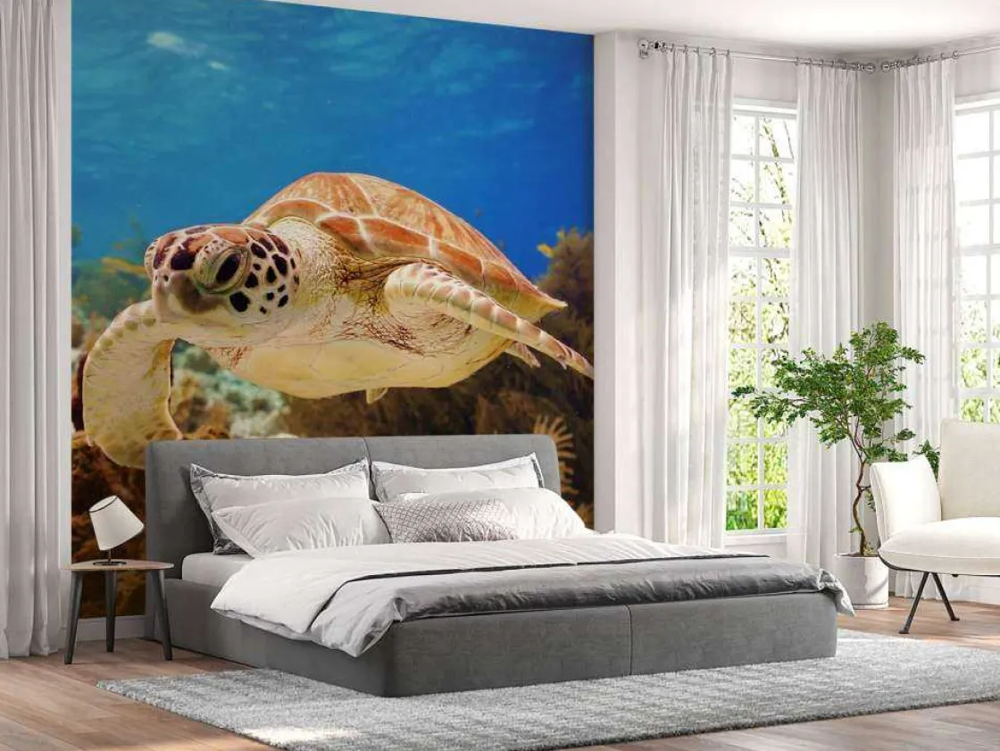 groene_zeeschildpad_aan_h_9.webp Discount Groene zeeschildpad aan het zwemmen fotobehang Dieren