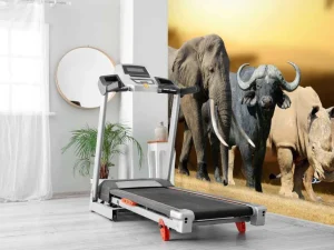 Best Grote Afrikaanse dieren fotobehang Dieren