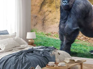 Discount Grote mannelijke gorilla fotobehang Dieren
