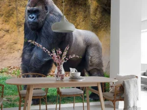 Discount Grote mannelijke gorilla fotobehang Dieren