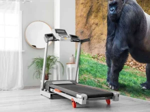 Discount Grote mannelijke gorilla fotobehang Dieren