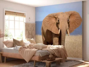 Outlet Grote olifant in hoog gras fotobehang Tienerkamer