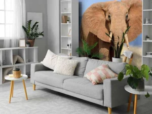 Outlet Grote olifant in hoog gras fotobehang Tienerkamer
