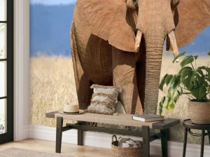 Outlet Grote olifant in hoog gras fotobehang Tienerkamer