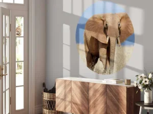Outlet Grote olifant in hoog gras fotobehang Tienerkamer