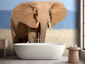 Outlet Grote olifant in hoog gras fotobehang Tienerkamer