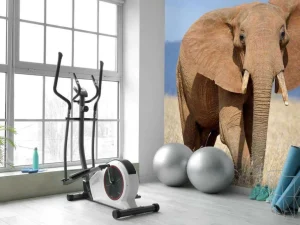 Outlet Grote olifant in hoog gras fotobehang Tienerkamer