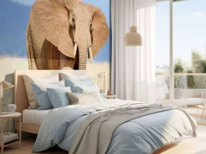 Outlet Grote olifant in hoog gras fotobehang Tienerkamer
