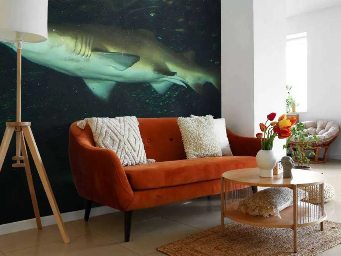 grote_witte_haai_in_een_a_10.webp Best Grote witte haai in een aquarium fotobehang Tienerkamer | Dieren