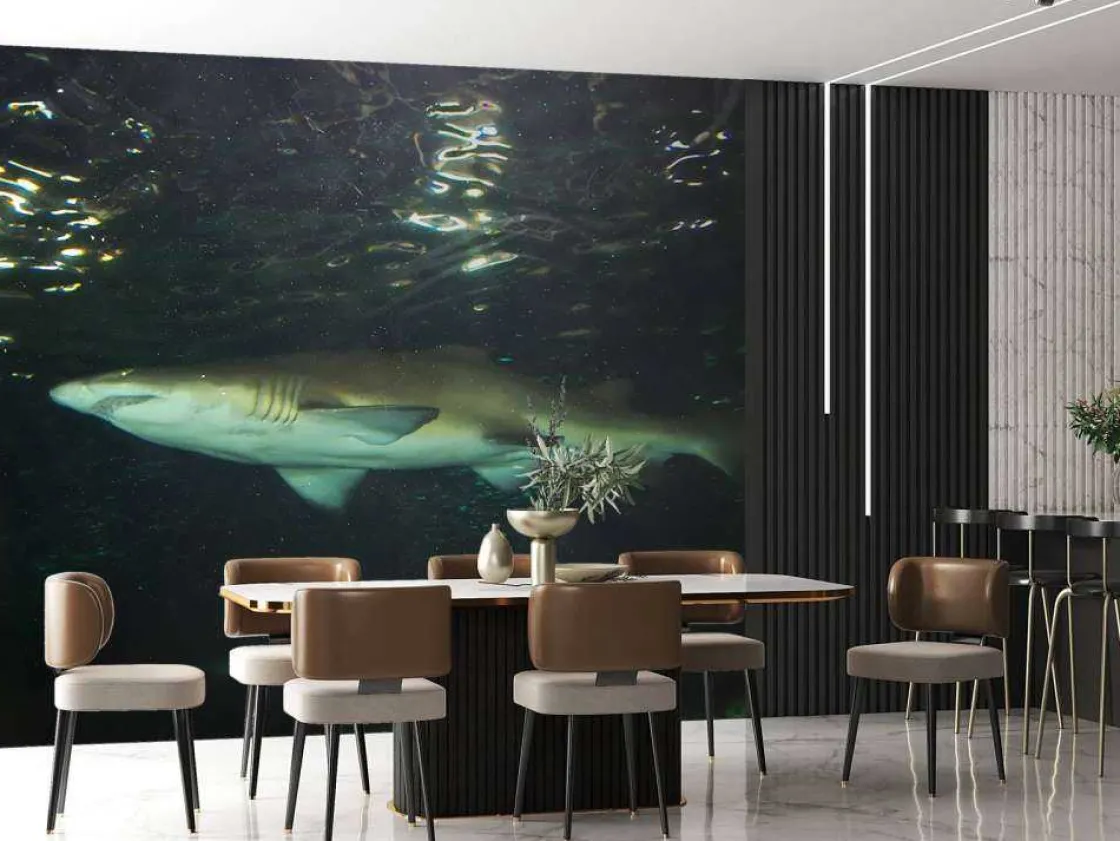 grote_witte_haai_in_een_a_3.webp Best Grote witte haai in een aquarium fotobehang Tienerkamer | Dieren