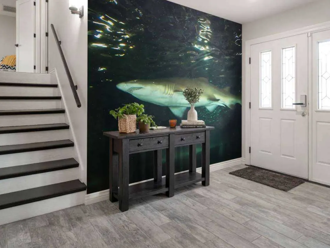 grote_witte_haai_in_een_a_4.webp Best Grote witte haai in een aquarium fotobehang Tienerkamer | Dieren
