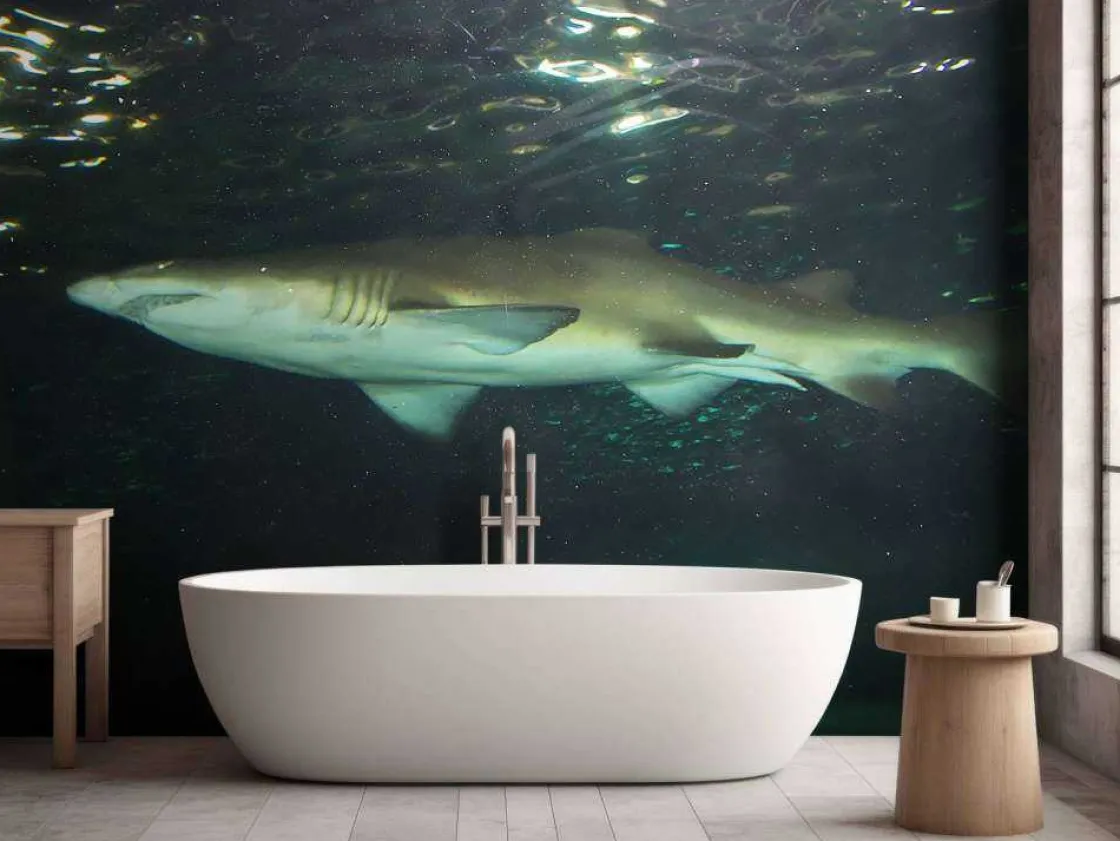 grote_witte_haai_in_een_a_6.webp Best Grote witte haai in een aquarium fotobehang Tienerkamer | Dieren