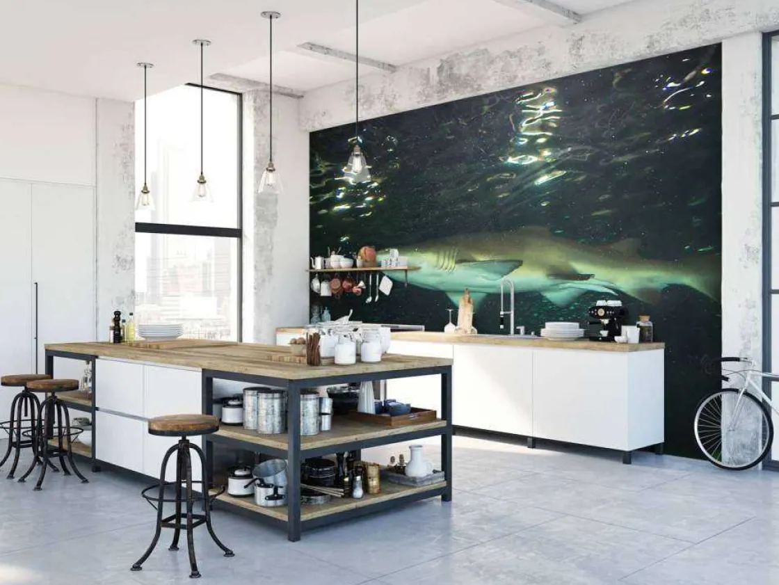 grote_witte_haai_in_een_a_7.webp Best Grote witte haai in een aquarium fotobehang Tienerkamer | Dieren