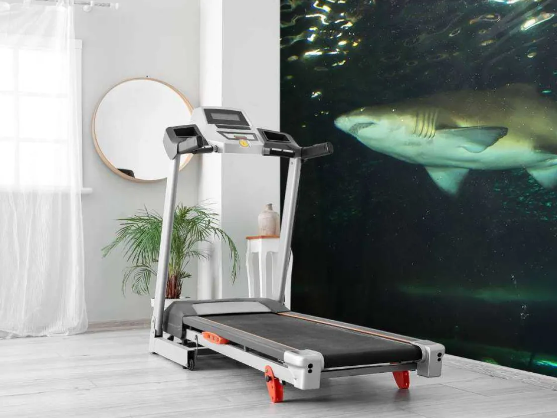grote_witte_haai_in_een_a_8.webp Best Grote witte haai in een aquarium fotobehang Tienerkamer | Dieren