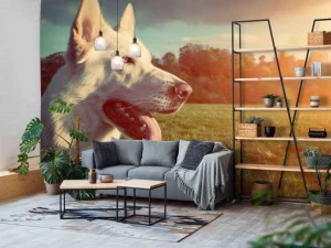Fashion Grote witte hond bij zonsondergang fotobehang Dieren