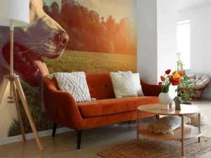 Fashion Grote witte hond bij zonsondergang fotobehang Dieren