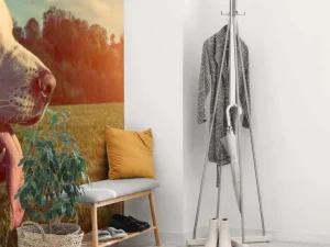 Fashion Grote witte hond bij zonsondergang fotobehang Dieren