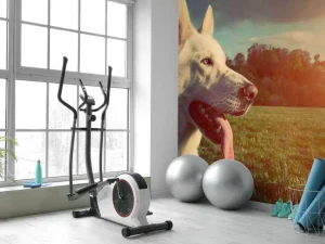 Fashion Grote witte hond bij zonsondergang fotobehang Dieren