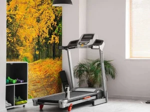 Hot Herfst Bomen met Gele Bladeren fotobehang Bloemen