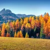 Discount Herfst in de Italiaanse Alpen fotobehang Bloemen