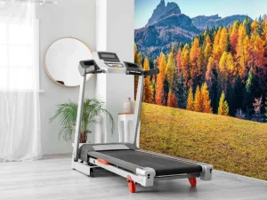 Discount Herfst in de Italiaanse Alpen fotobehang Bloemen