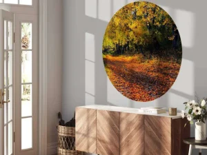 Best Herfstbos met Bomen en Bladeren fotobehang Bloemen