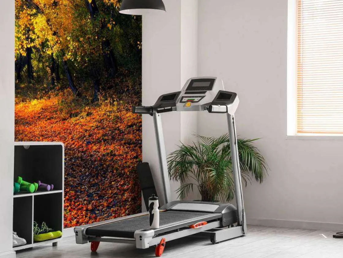 herfstbos_met_bomen_en_bl_7.webp Best Herfstbos met Bomen en Bladeren fotobehang Bloemen