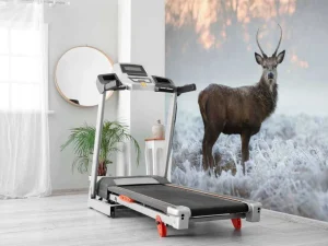 Discount Hert in de winter fotobehang Dieren