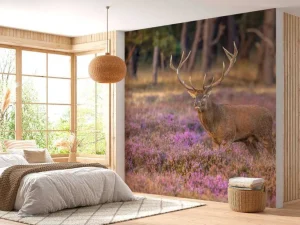 New Hert op de Veluwe fotobehang Dieren | Bloemen
