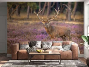 New Hert op de Veluwe fotobehang Dieren | Bloemen