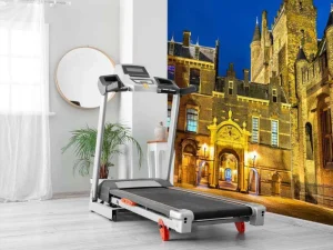 Clearance Het Binnenhof in de avond fotobehang Steden | Architectuur